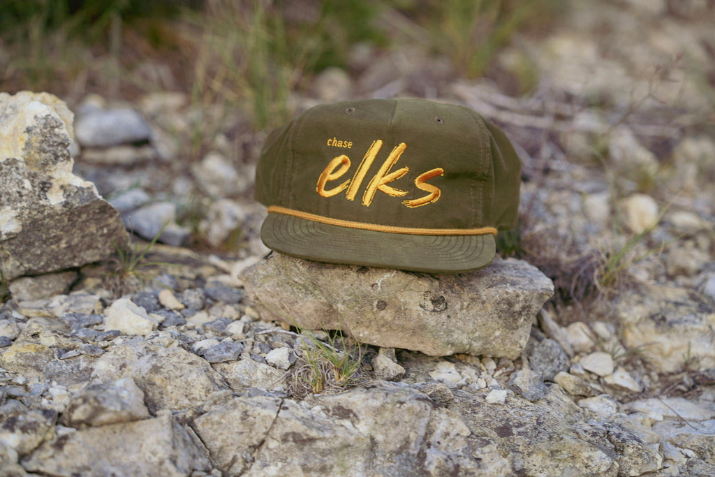 chase elks - green/gold